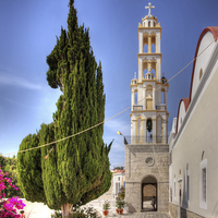 Buy canvas prints of Cyprus Pine and Bell Tower by Tom Gomez