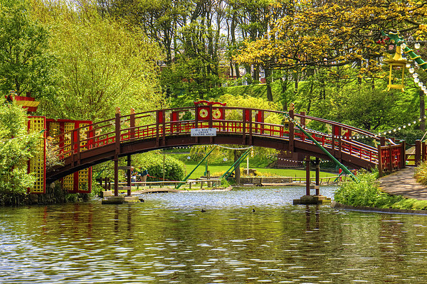 Peasholm Park Bridge Picture Board by Tom Gomez