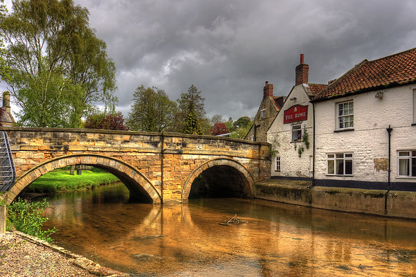 The Rose at Pickering Bridge Picture Board by Tom Gomez
