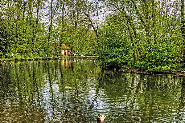Thornton le Dale Duck Pond Picture Board by Tom Gomez