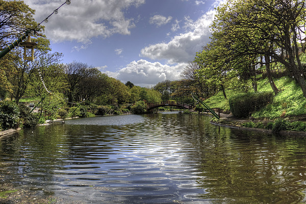Peasholm Park Lake Picture Board by Tom Gomez