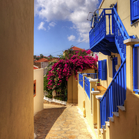 Buy canvas prints of Blue paint and Bougainvillea by Tom Gomez