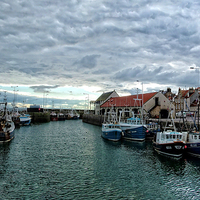 Buy canvas prints of Pittenweem Harbour by Tom Gomez