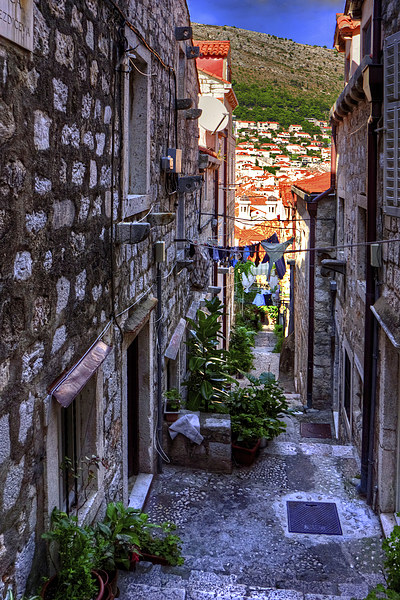 Residential Street in Dubrovnik Picture Board by Tom Gomez