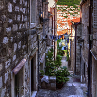 Buy canvas prints of Residential Street in Dubrovnik by Tom Gomez