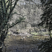 Buy canvas prints of Across the River Almond by Tom Gomez