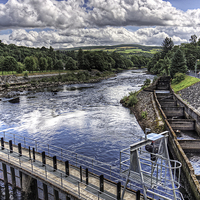 Buy canvas prints of Pitlochry Fish Ladder by Tom Gomez