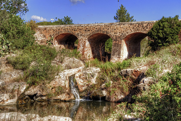 Pont Vell de Santa Eulalia Picture Board by Tom Gomez