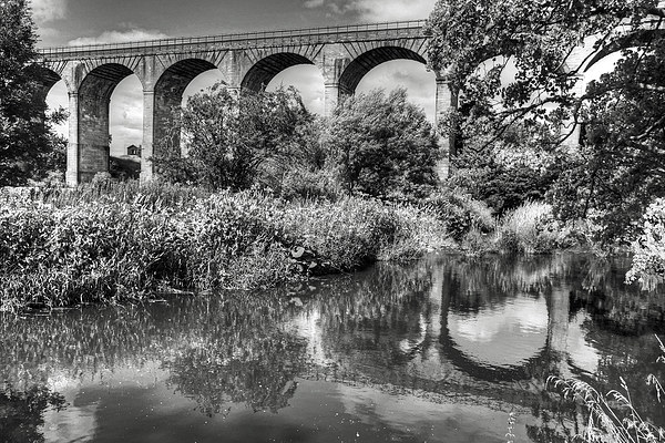 Avon Viaduct Reflections B&W Picture Board by Tom Gomez