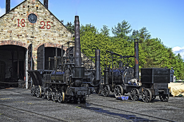 Steam Locomotives at Beamish Picture Board by Tom Gomez