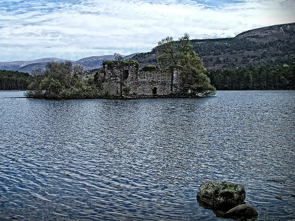 Loch an Eilein Castle Ruin Picture Board by Tom Gomez