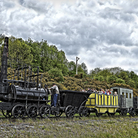 Buy canvas prints of Steam Elephant by Tom Gomez