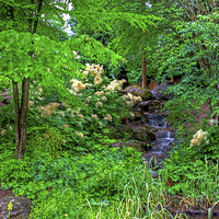 Buy canvas prints of The Beatrix Potter Garden in Birnam by Tom Gomez