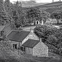 Buy canvas prints of Cottages in the Trees - B&W by Tom Gomez