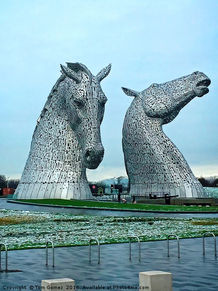 The Kelpies in January Picture Board by Tom Gomez