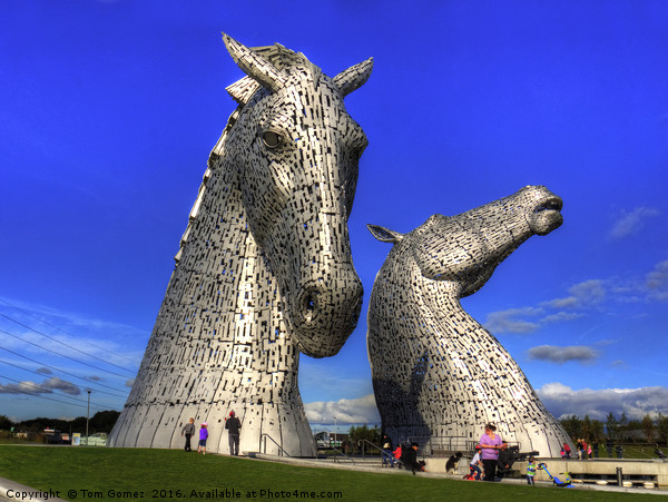 Kelpies at The Helix Picture Board by Tom Gomez