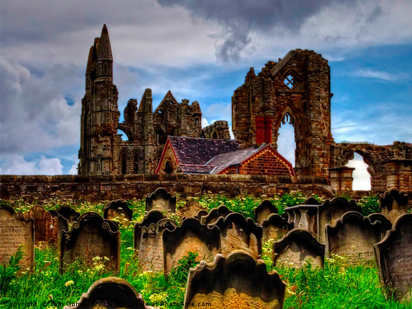 The Abbey from the Graveyard Picture Board by Tom Gomez