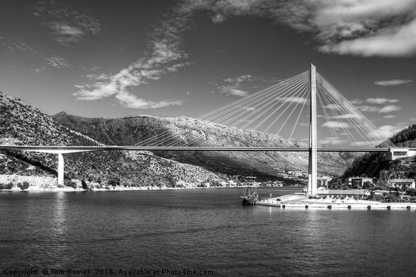 Franjo Tuđman Bridge - B&W Picture Board by Tom Gomez