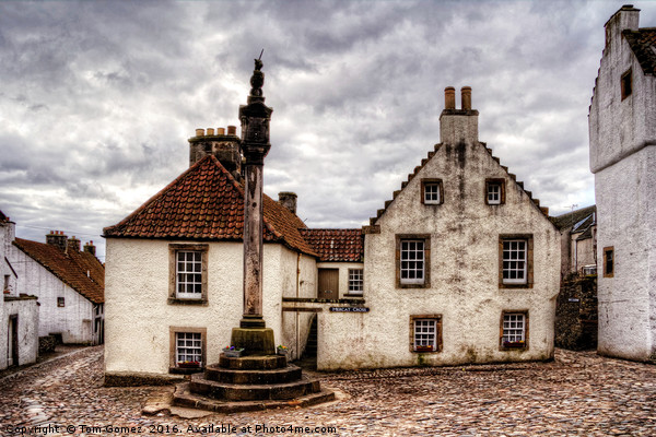 The Mercat Cross at Culross Picture Board by Tom Gomez