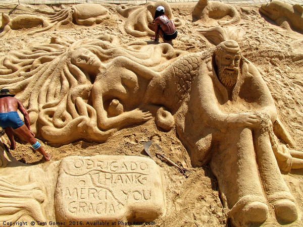 Sand Sculptures Picture Board by Tom Gomez
