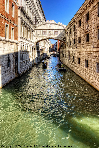 That Bridge in Venice Picture Board by Tom Gomez