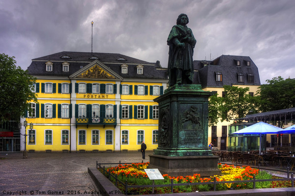 Central Post Office and Beethoven Memorial in Bonn Picture Board by Tom Gomez