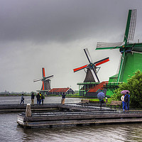 Buy canvas prints of Windmills on the River Zaan by Tom Gomez