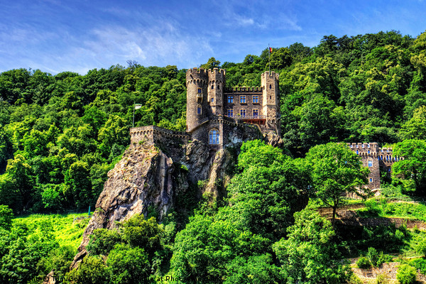 Burg Rheinstein Picture Board by Tom Gomez