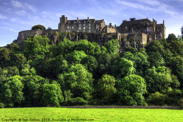 Stirling Castle Picture Board by Tom Gomez