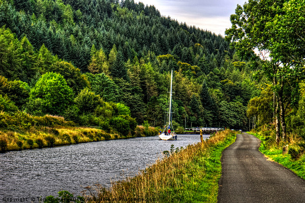 Crinan Canal Picture Board by Tom Gomez