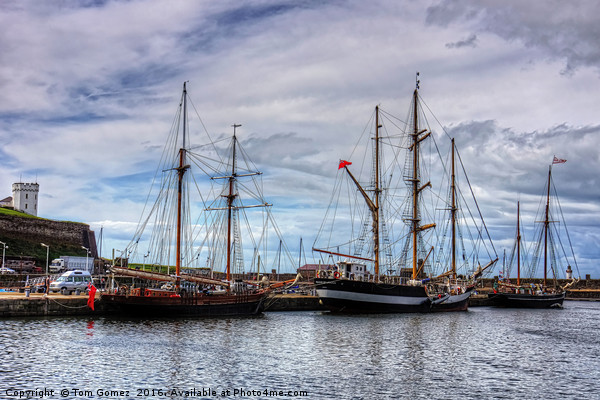 Tall Ships at Anchor Picture Board by Tom Gomez