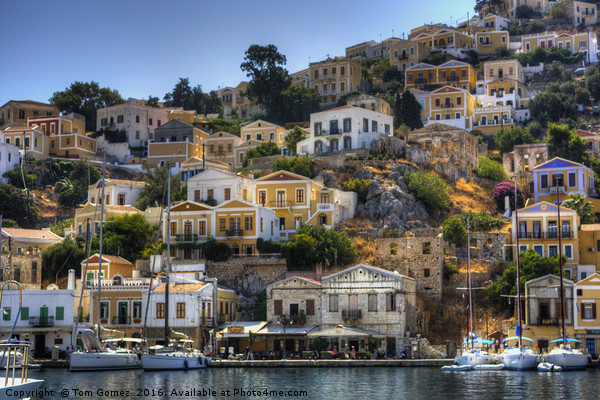 Yachts in Symi Picture Board by Tom Gomez