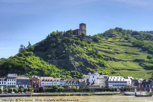 Burg Gutenfels Picture Board by Tom Gomez