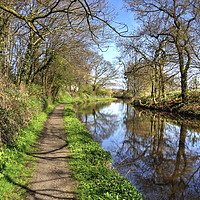 Buy canvas prints of Walking along the Union Canal by Tom Gomez