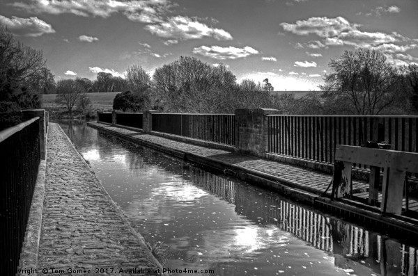 The Almond Aquaduct - B&W Picture Board by Tom Gomez