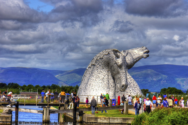 Crowds at the Kelpies Picture Board by Tom Gomez