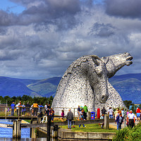 Buy canvas prints of Crowds at the Kelpies by Tom Gomez