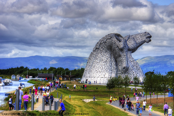 Enjoying the Kelpies Picture Board by Tom Gomez