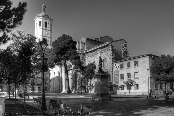 Cathedral of Valladolid - B&W Picture Board by Tom Gomez
