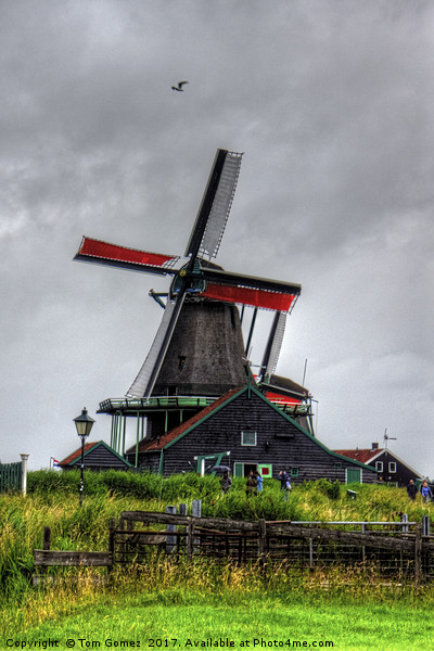 Dutch Windmill Picture Board by Tom Gomez