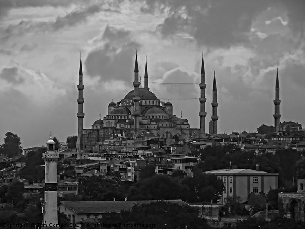 The Blue Mosque, Istanbul - B&W Picture Board by Tom Gomez