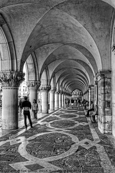 Doge's Palace Colannade - B&W Picture Board by Tom Gomez
