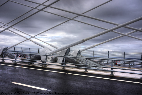 Cable Stays on the Queensferry Crossing Picture Board by Tom Gomez