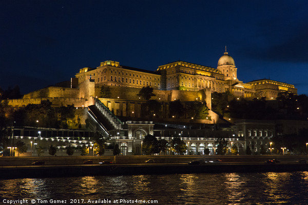 Buda Castle from the Danube Picture Board by Tom Gomez