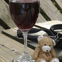 Buy canvas prints of Little old wine teddy me by Tom Gomez