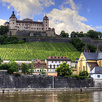 Buy canvas prints of Fortress Marienberg by Tom Gomez