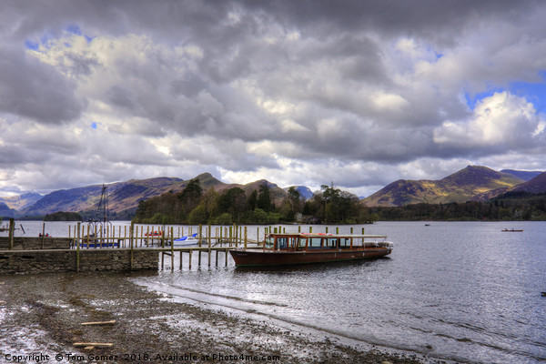 Cruise boat at Derwentwater Pier Picture Board by Tom Gomez