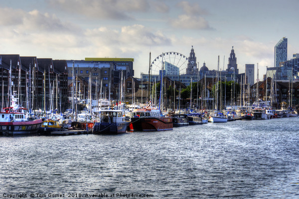 Brunswick Dock, Liverpool Picture Board by Tom Gomez