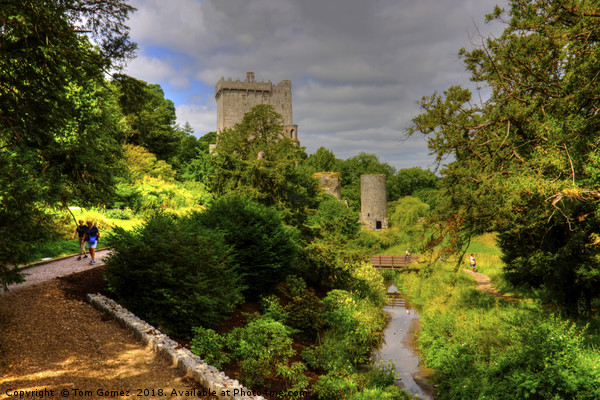 Blarney Castle and Gardens Picture Board by Tom Gomez