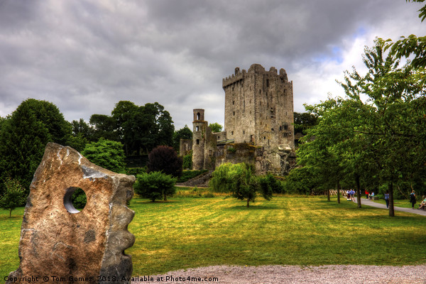 Blarney Castle and Grounds Picture Board by Tom Gomez